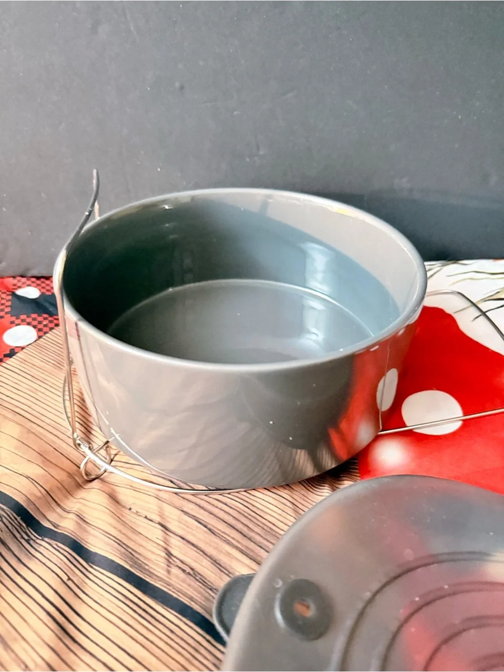 Pampered Chef Quick pressure cooker Gray with silicone lid